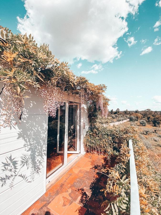 Villa Casa Da Aldeia Constância Esterno foto
